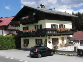 Ferienhaus Reschreiter Abtenau